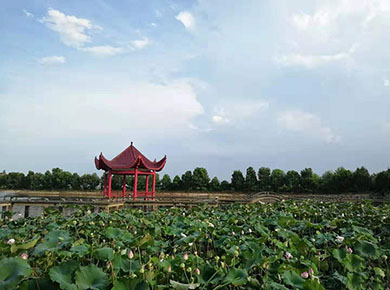 武汉归元陵园荷花水塘及墓地价格介绍