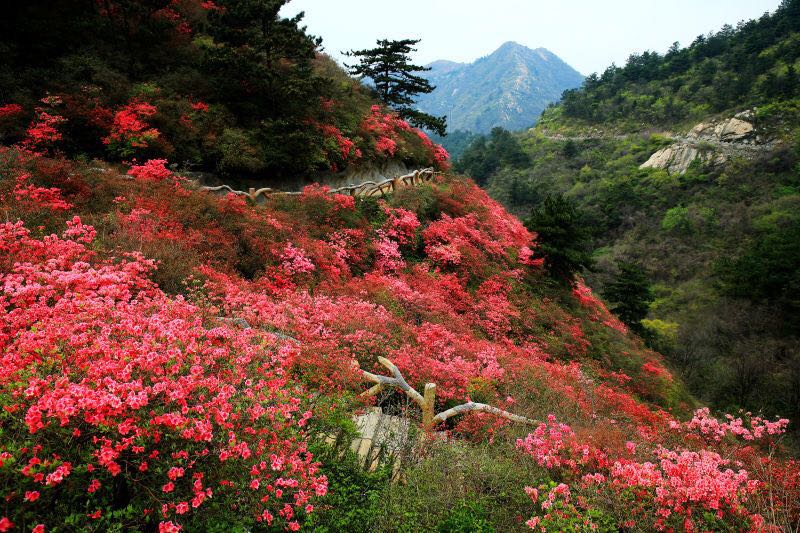 武汉归元陵园附近云雾山旅游景点介绍-归元陵园墓地价格2024更新